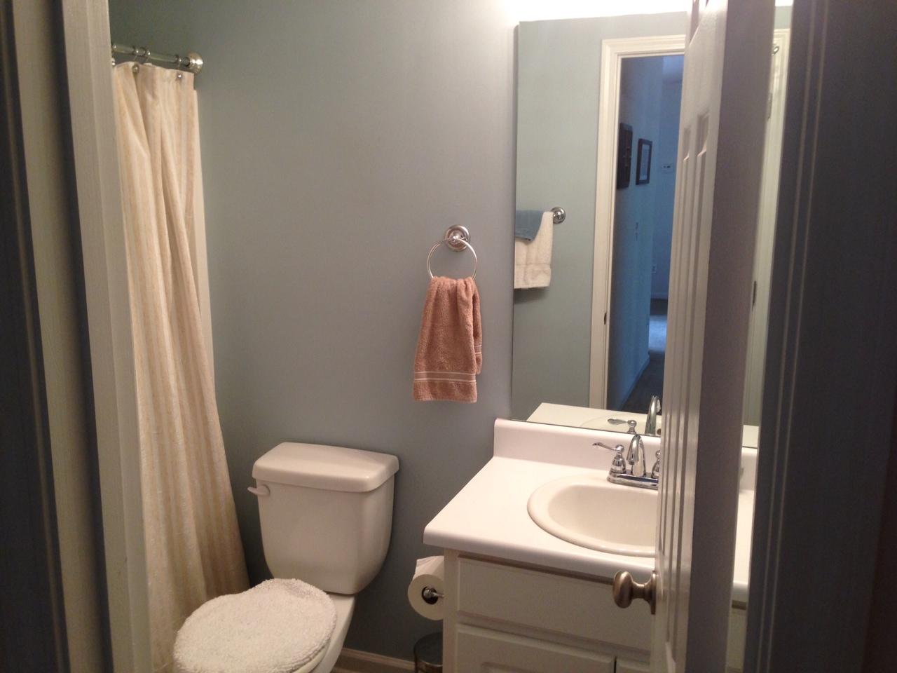 363 Centennial Dr, Bethlehem, GA 30620 photo 23