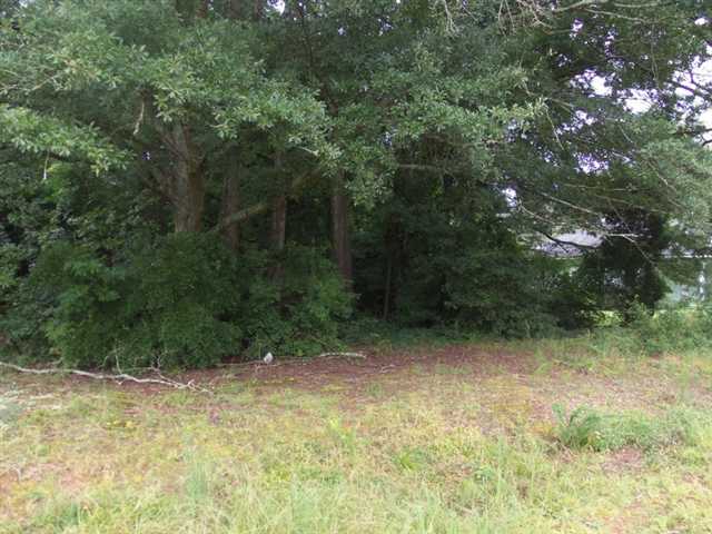 806 Dixon Rd, Bowdon, GA 30108 photo 19