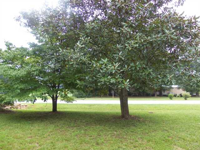806 Dixon Rd, Bowdon, GA 30108 photo 10