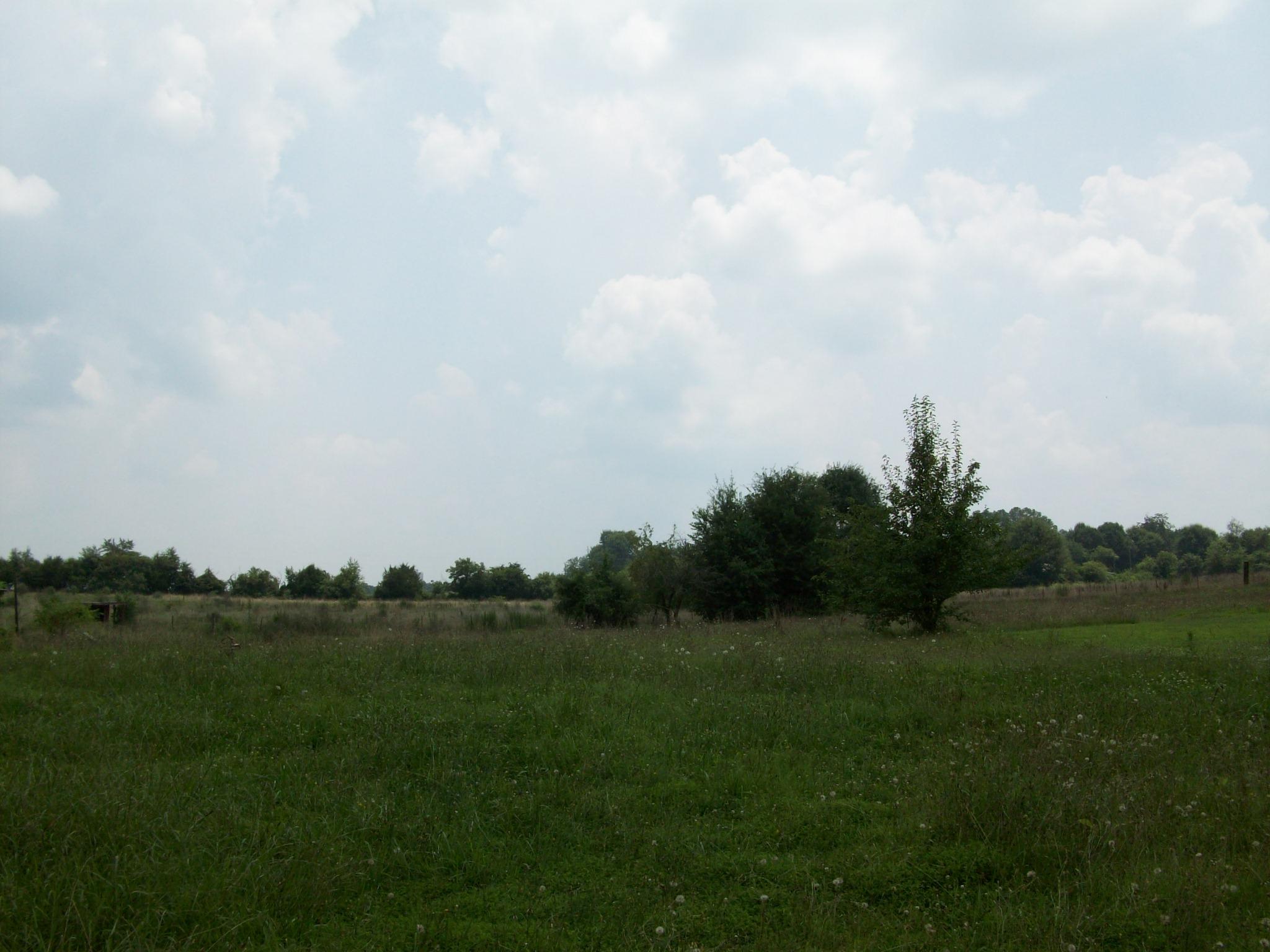 2349 Spring Cir, Comer, GA 30629 photo 17