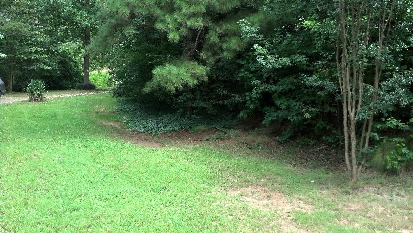 3989 Crane Mill Rd, Cornelia, GA 30531 photo 4