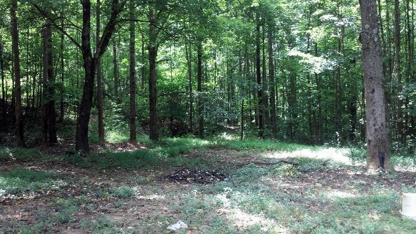3989 Crane Mill Rd, Cornelia, GA 30531 photo 16