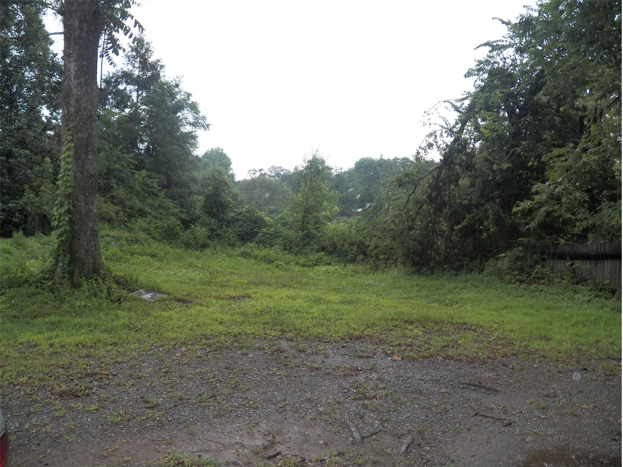 141 Scott Mill Rd, Canton, GA 30114 photo 3