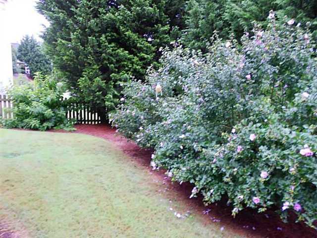 1066 Chippewa Oak Dr, Dacula, GA 30019 photo 22