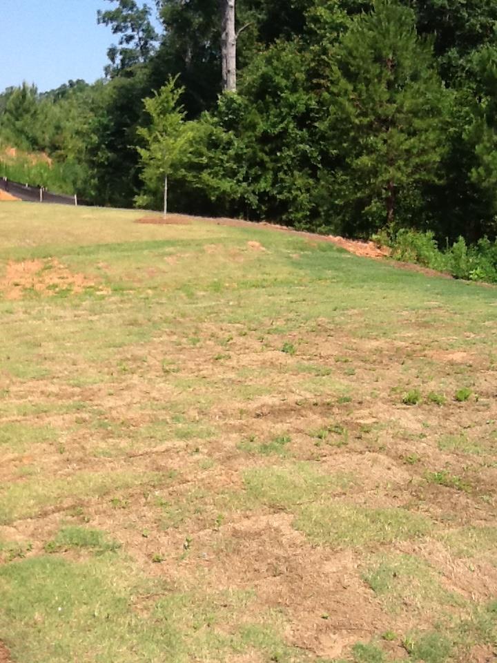 35 Tanners Ct, Covington, GA 30016 photo 24