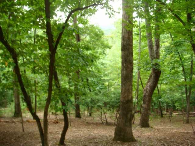 107 Fox Den Cir, Jasper, GA 30143 photo 2