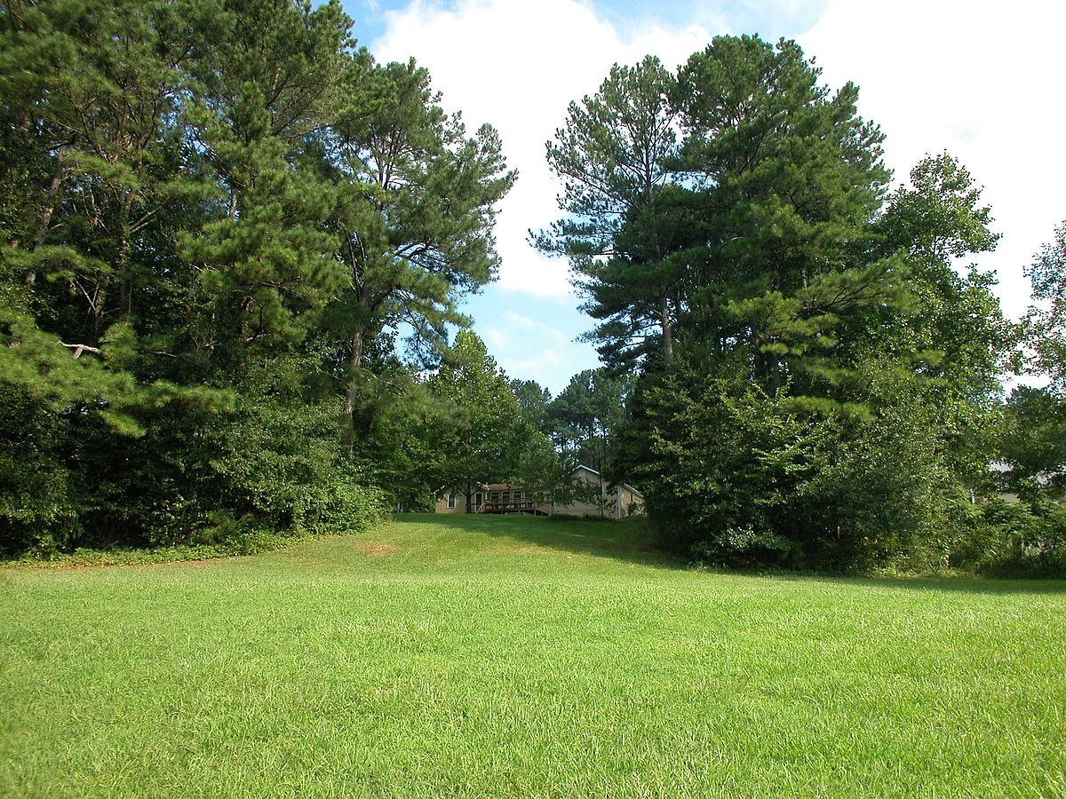 257 Spring Dr, Canton, GA 30115 photo 18