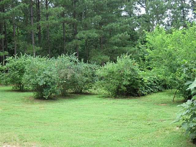 1321 Durden Rd, Rutledge, GA 30663 photo 22