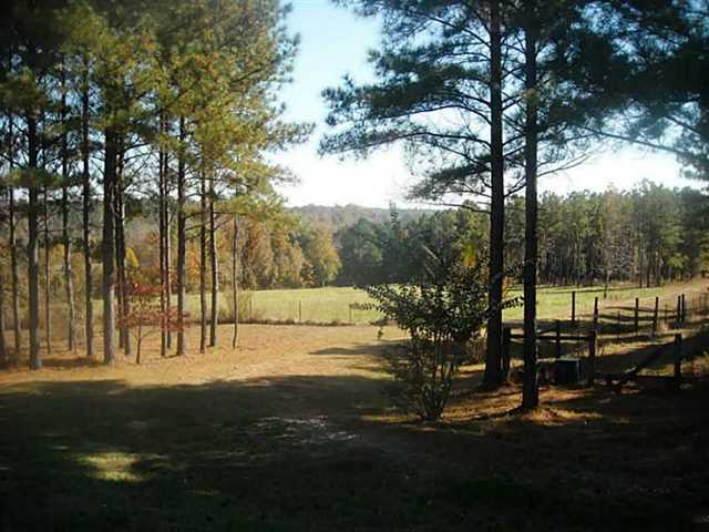 1321 Durden Rd, Rutledge, GA 30663 photo 4