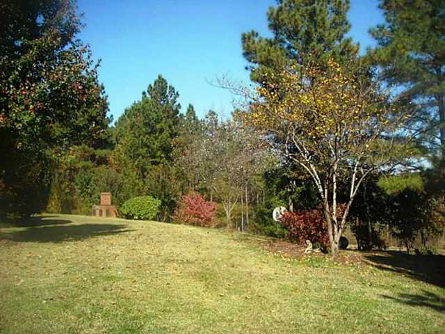 1321 Durden Rd, Rutledge, GA 30663 photo 3
