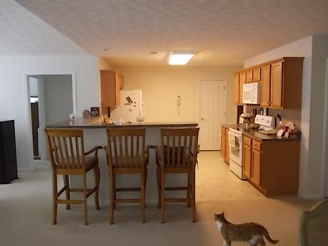 262 Memory Ln, Winder, GA 30680 photo 9