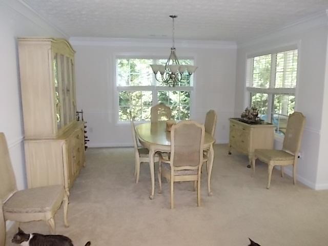 262 Memory Ln, Winder, GA 30680 photo 7