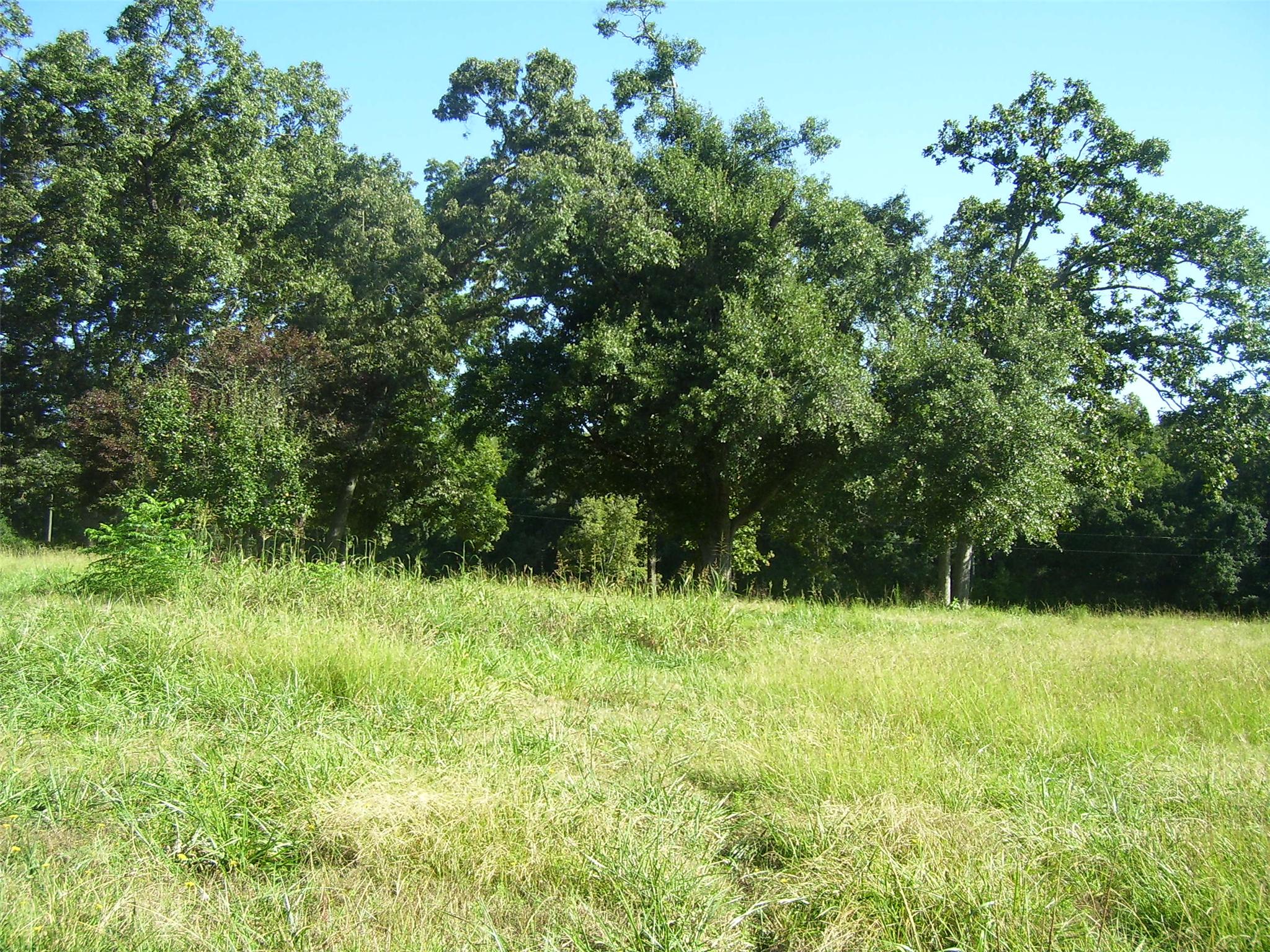 1746 Gresham Rd, Zebulon, GA 30295 photo 4