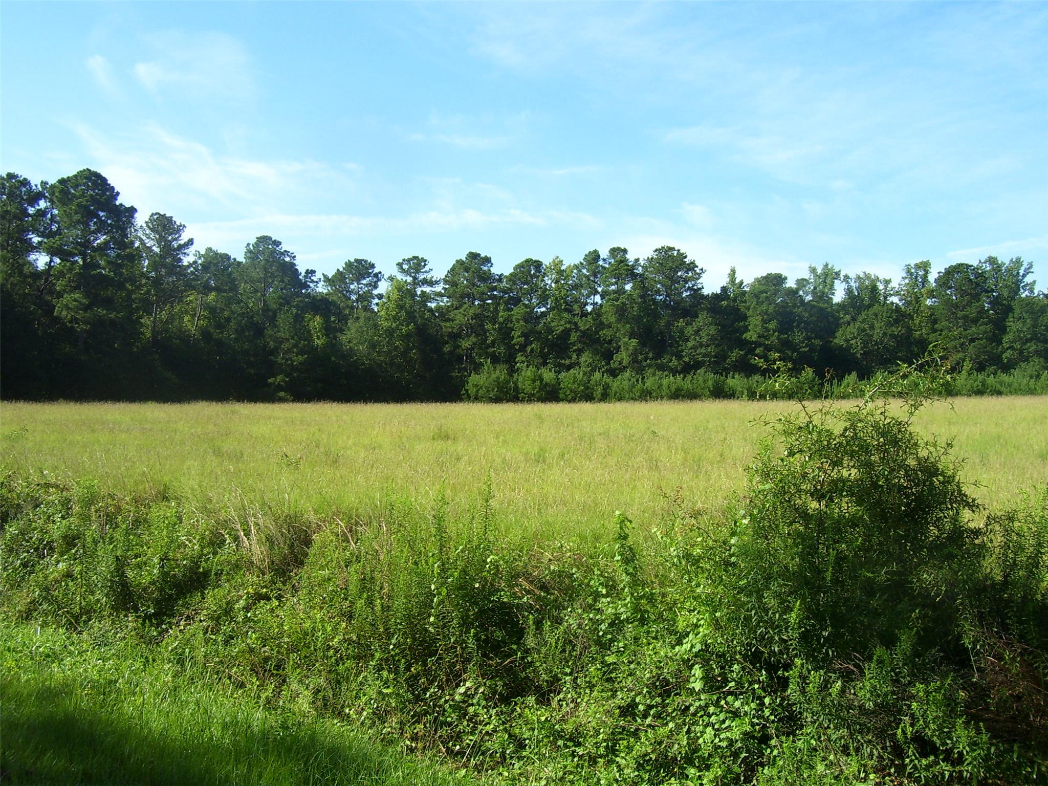 1746 Gresham Rd, Zebulon, GA 30295 photo 6