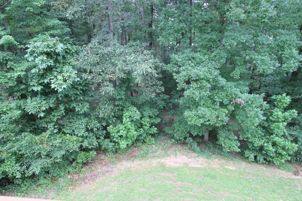 738 Worth Ct, Bethlehem, GA 30620 photo 25