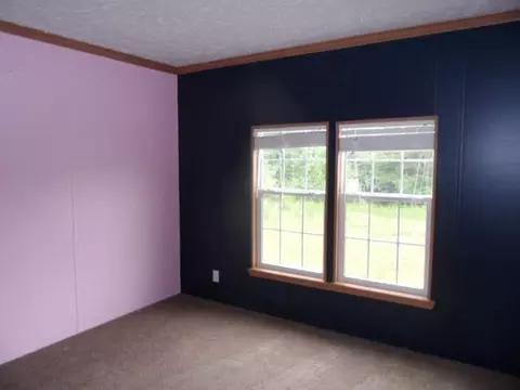 337 County Rd 659, Ranburne, AL 36273 photo 8