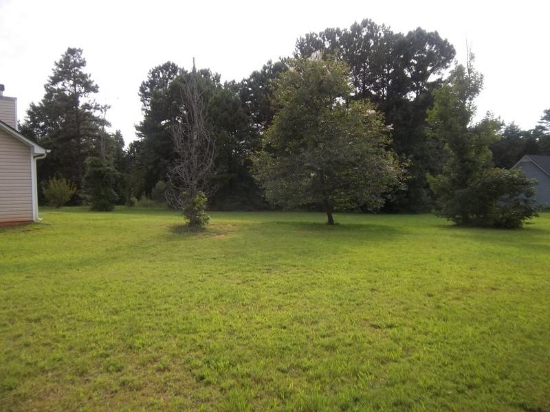 15 Tara Ct, Covington, GA 30016 photo 23