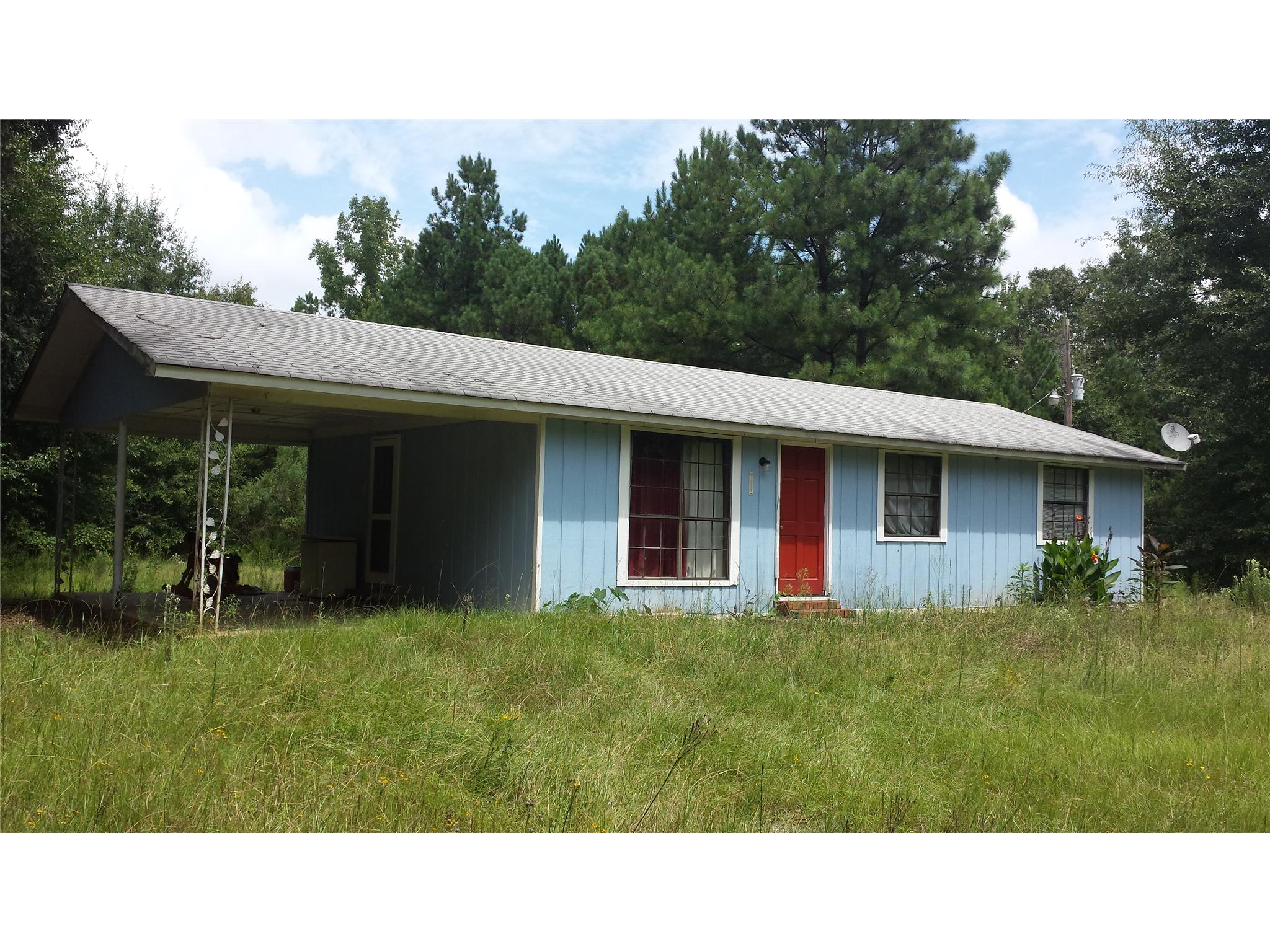 294 Lee Maddox Rd, Jackson, GA 30233 photo 3