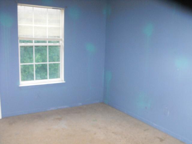 330 Brookside Dr, Mcdonough, GA 30253 photo 8