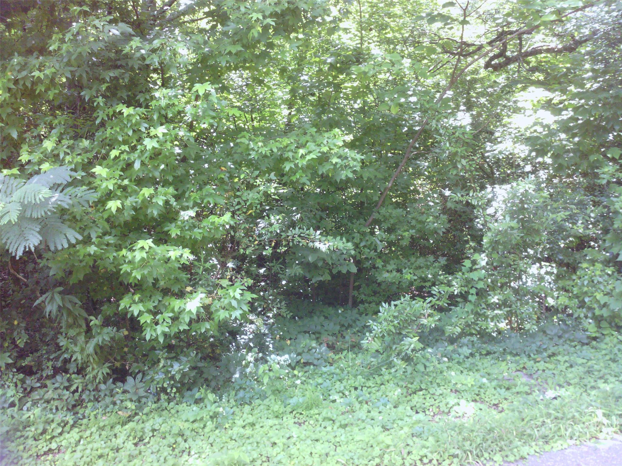 75 Cordes Pl, Commerce, GA 30529 photo 3