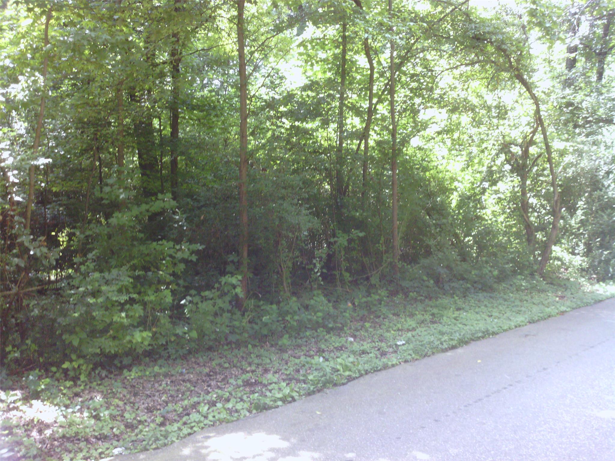 75 Cordes Pl, Commerce, GA 30529 photo 4