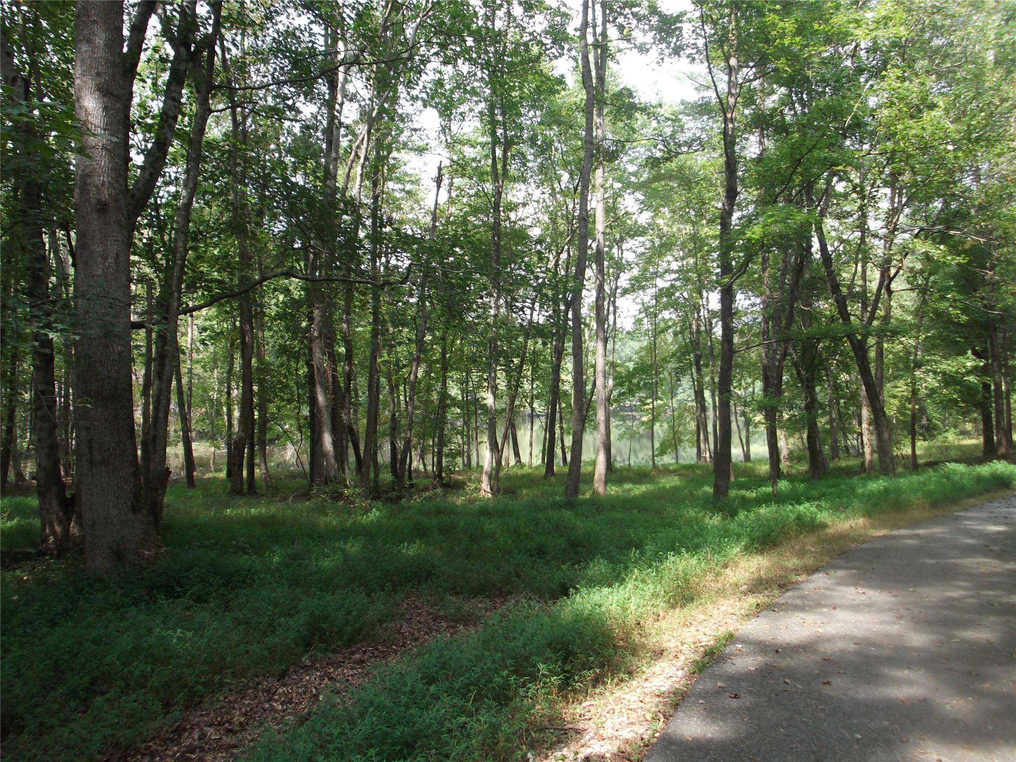 4510 Locklin Rd, Monroe, GA 30655 photo 3
