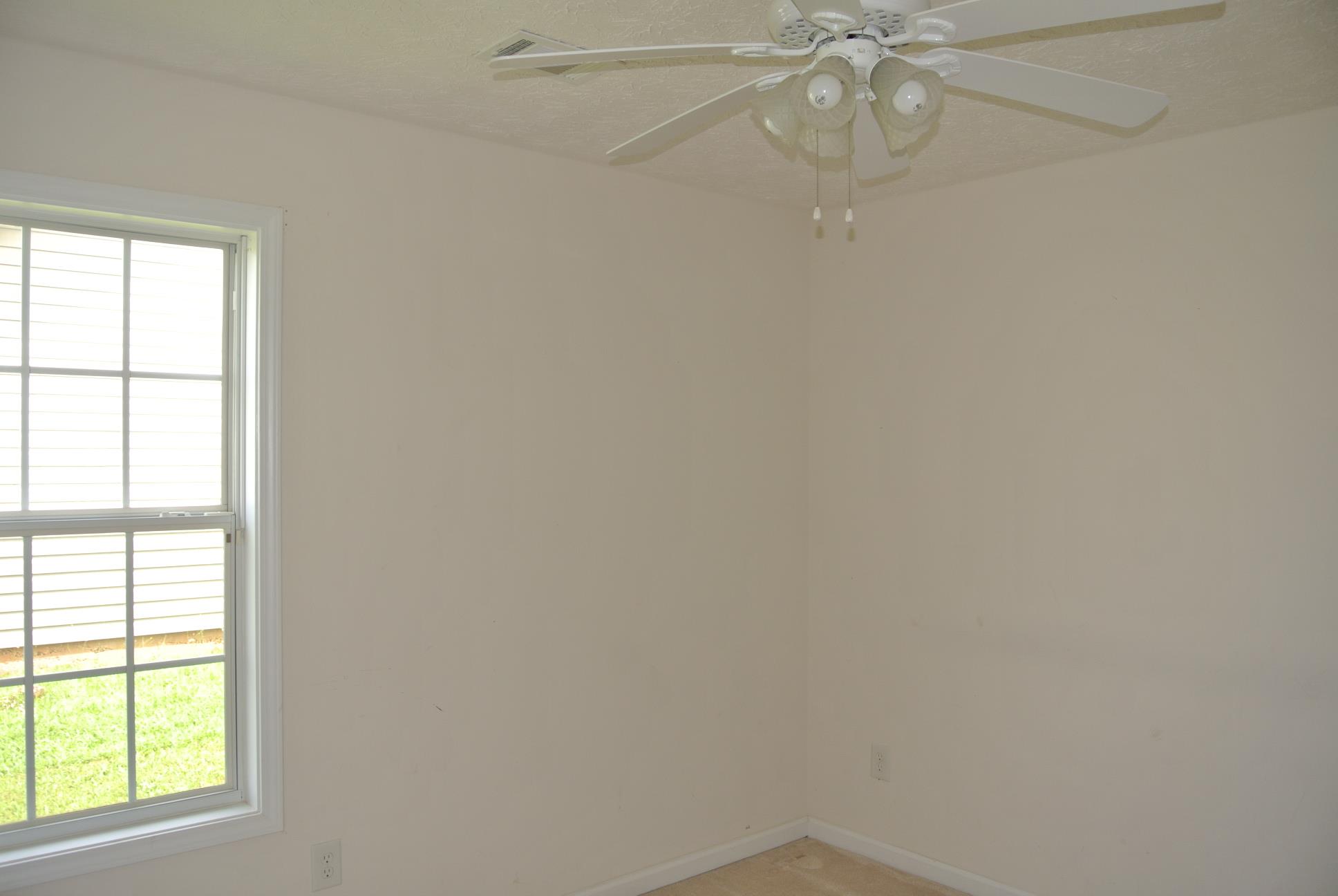 11432 Vinea Ln, Hampton, GA 30228 photo 21