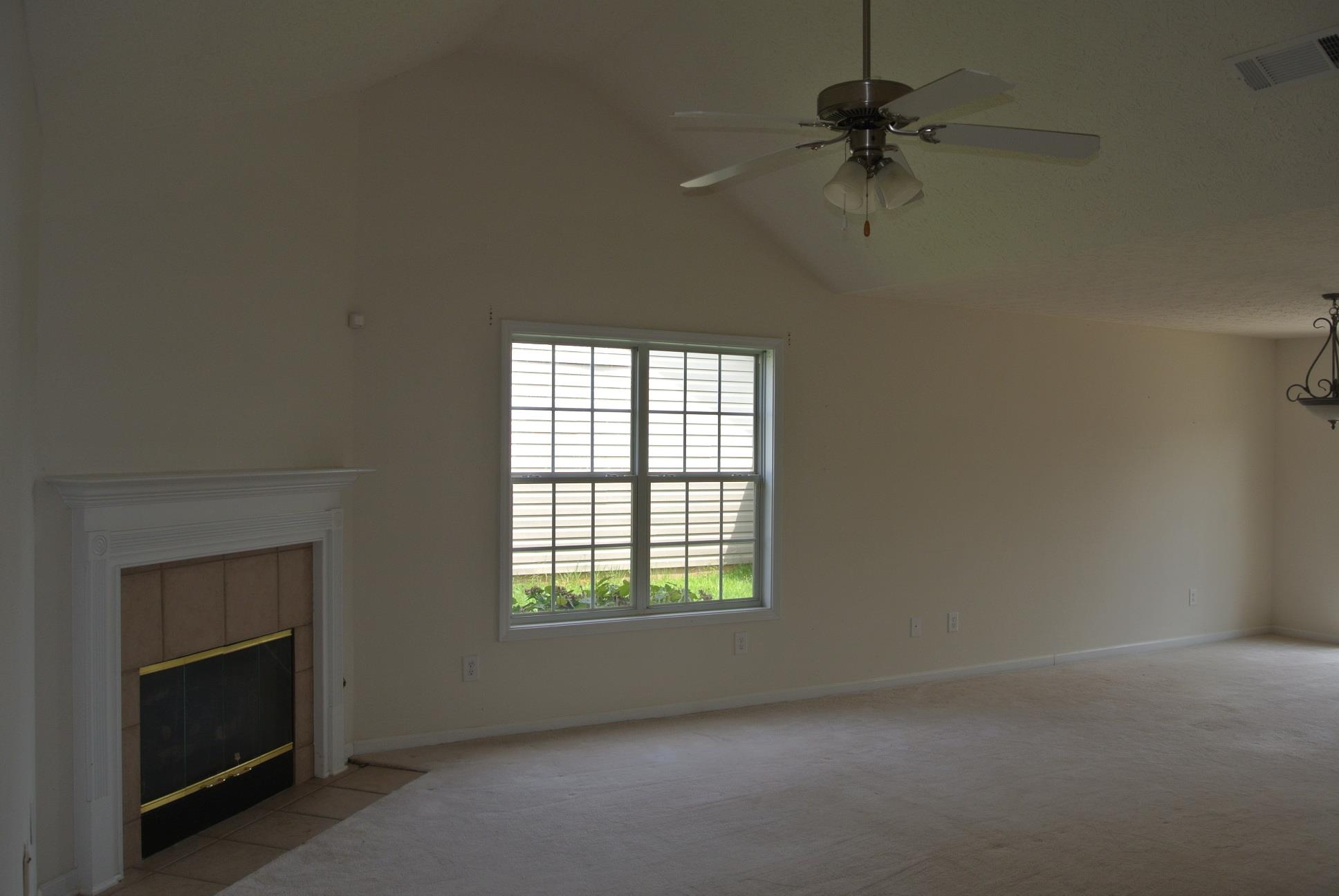 11432 Vinea Ln, Hampton, GA 30228 photo 9