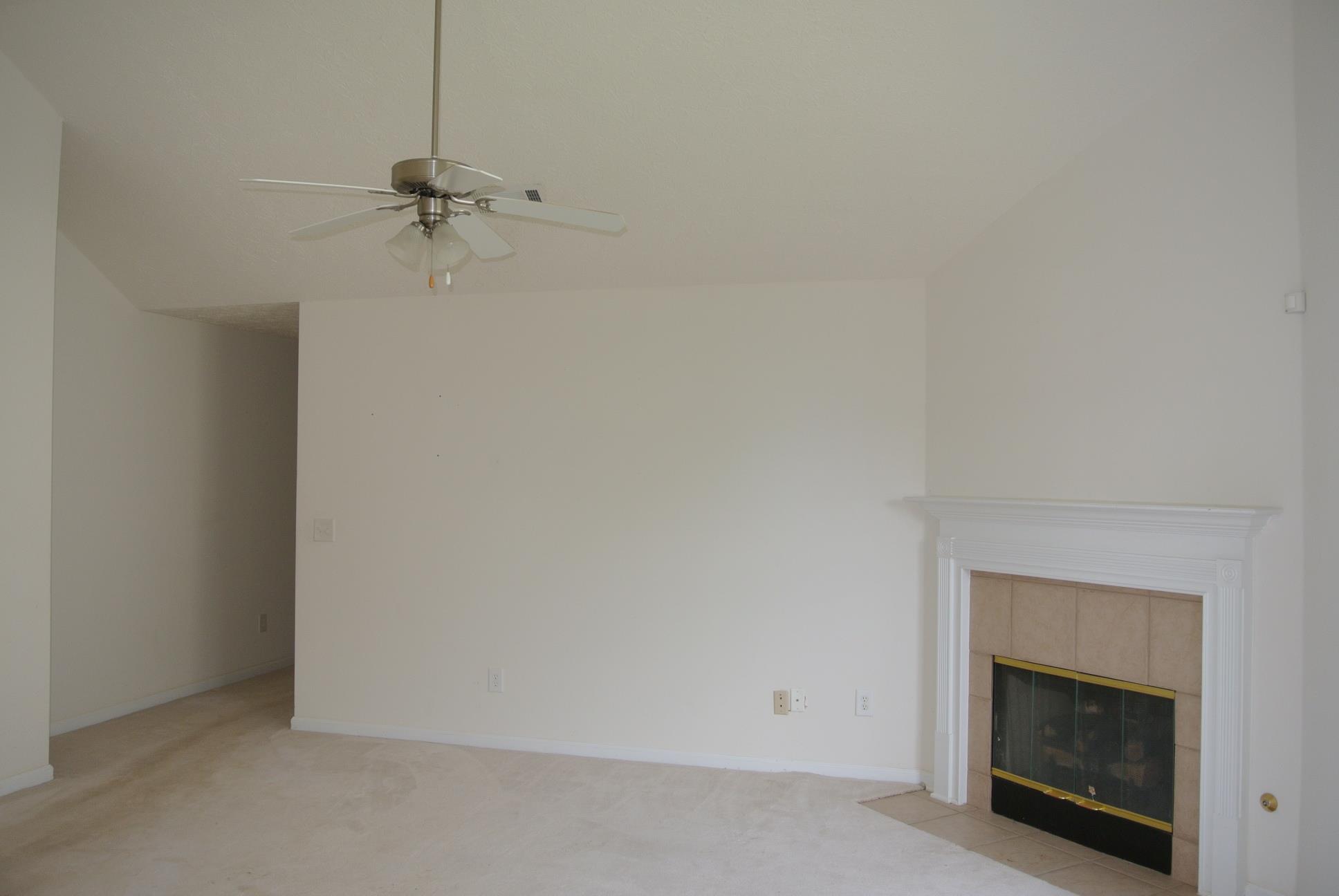 11432 Vinea Ln, Hampton, GA 30228 photo 10