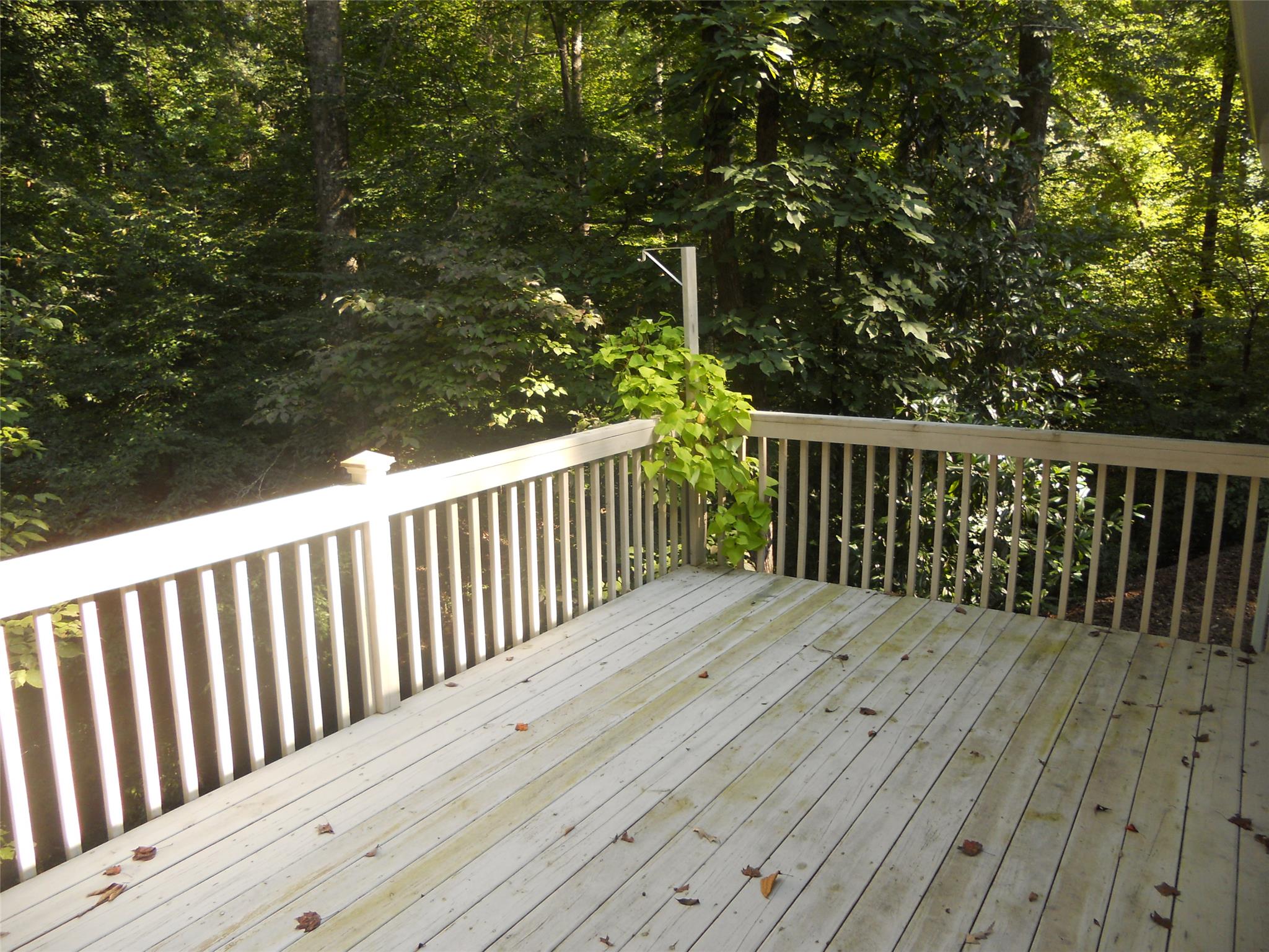 691 Henderson Falls Rd, Toccoa, GA 30577 photo 16