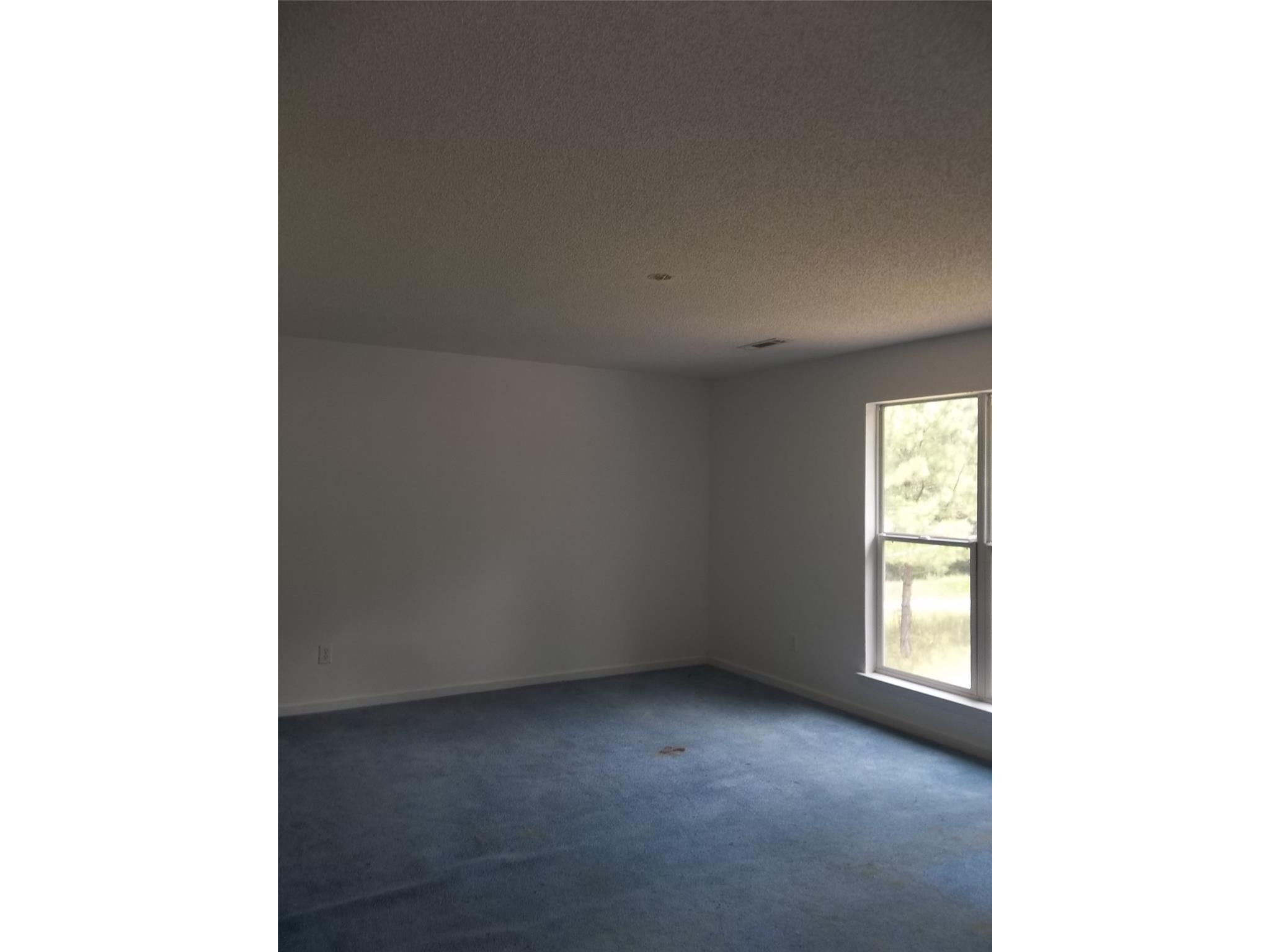 830 Alder Rd, Franklin, GA 30217 photo 6