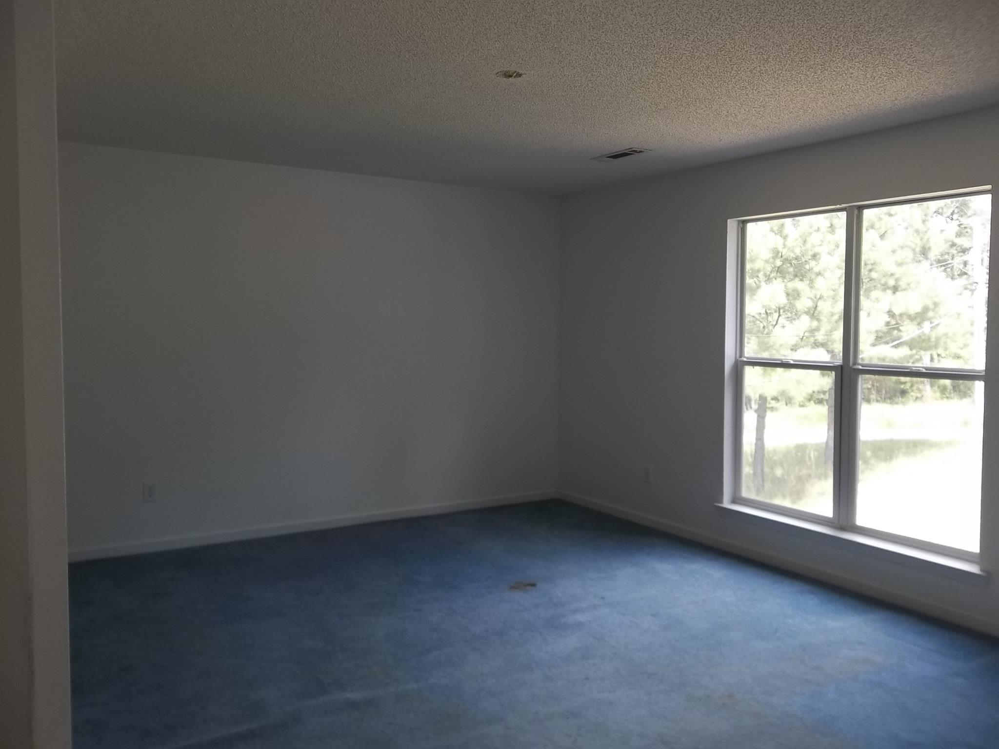 830 Alder Rd, Franklin, GA 30217 photo 13
