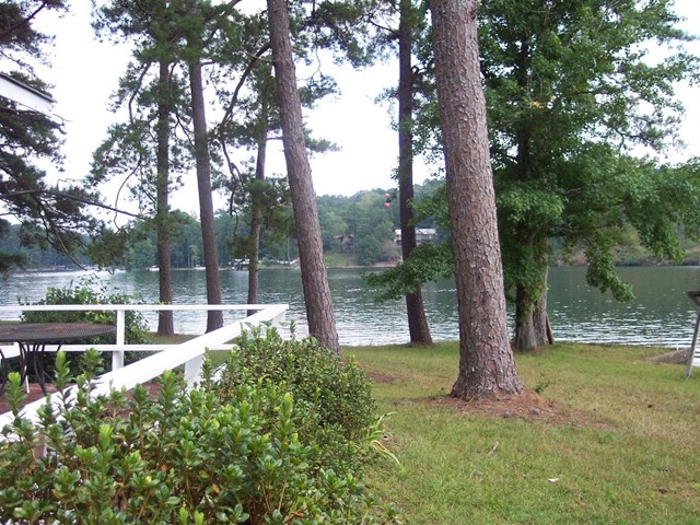 280 Polk Rd, Covington, GA 30014 photo 24