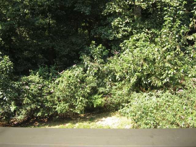 2940 Cascade Way, Gainesville, GA 30504 photo 20