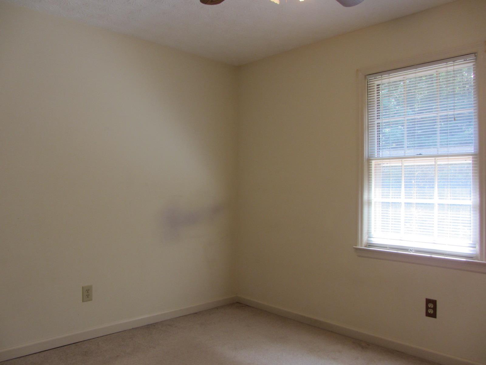 290 Greenridge Rd, Cornelia, GA 30531 photo 9