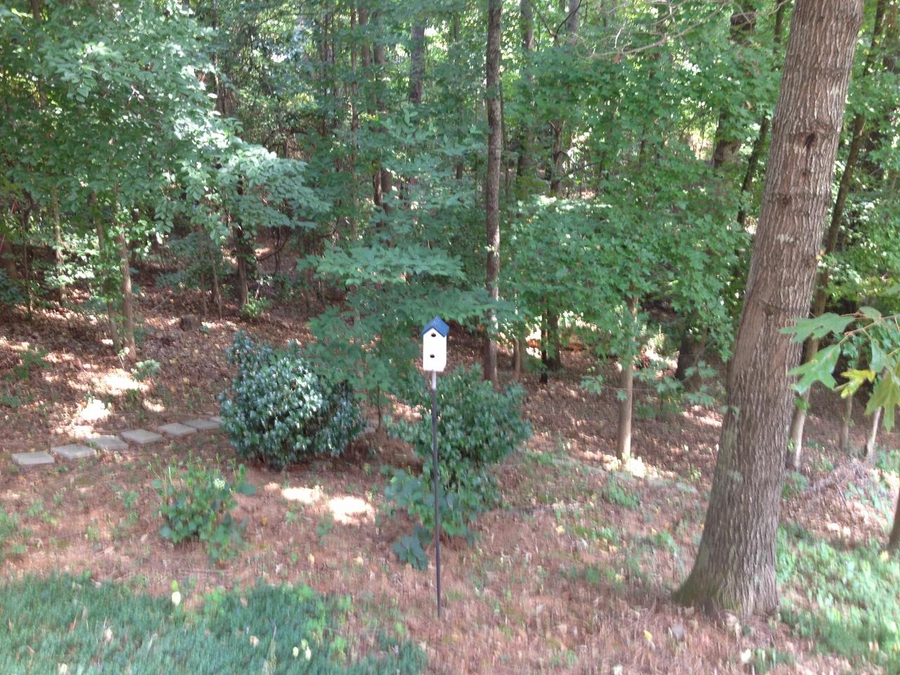 3143 Canter Way, Duluth, GA 30097 photo 25