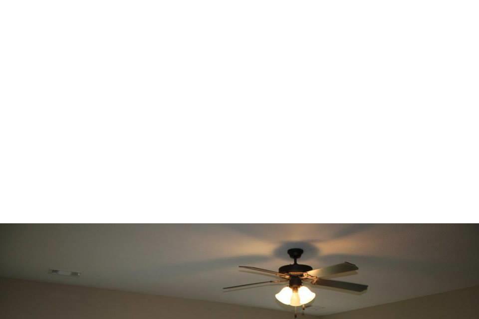 217 Jasmine Ln, Brooklet, GA 30415 photo 5