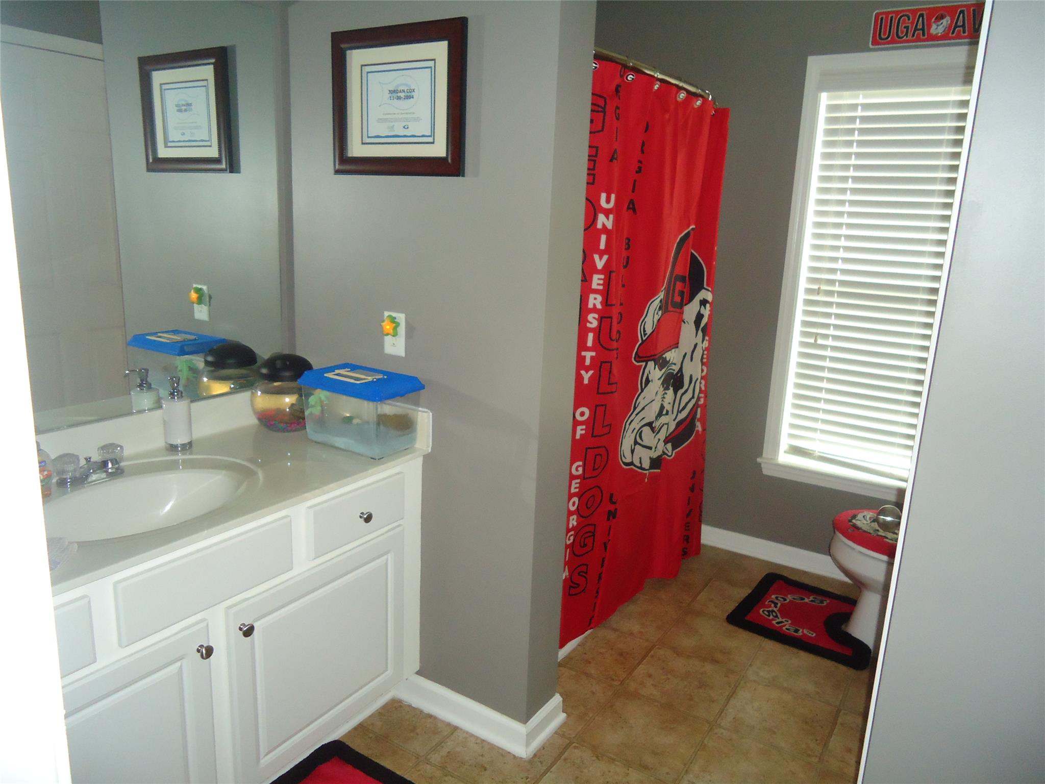 35 Snapdragon Ln, Covington, GA 30014 photo 8