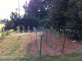1339 W E King Rd, Commerce, GA 30530 photo 7