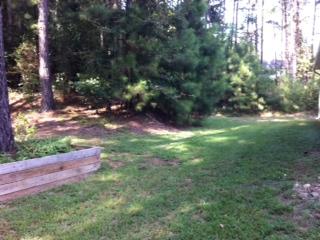 1339 W E King Rd, Commerce, GA 30530 photo 4