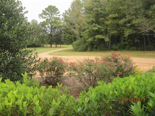 2912 Highway 140, Rydal, GA 30171 photo 20