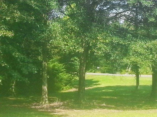529 Seab Green Rd, Cedartown, GA 30125 photo 23