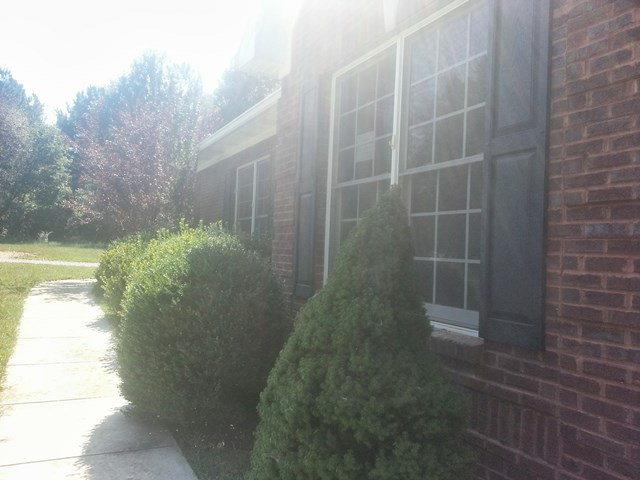 529 Seab Green Rd, Cedartown, GA 30125 photo 24