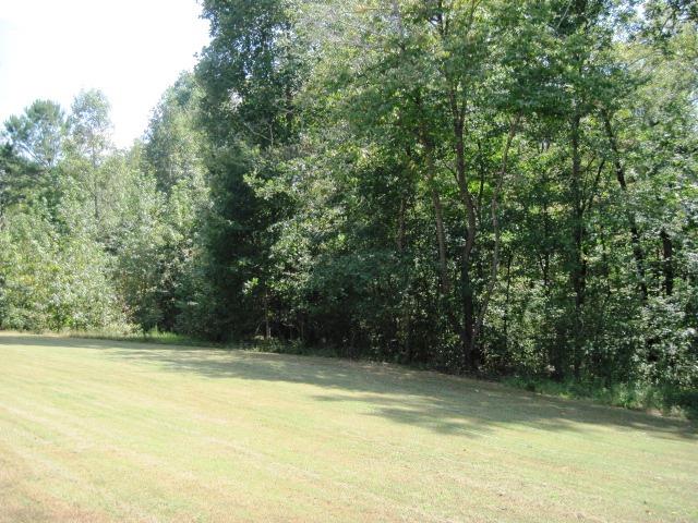 1035 Old Mill Trce, Monroe, GA 30656 photo 6