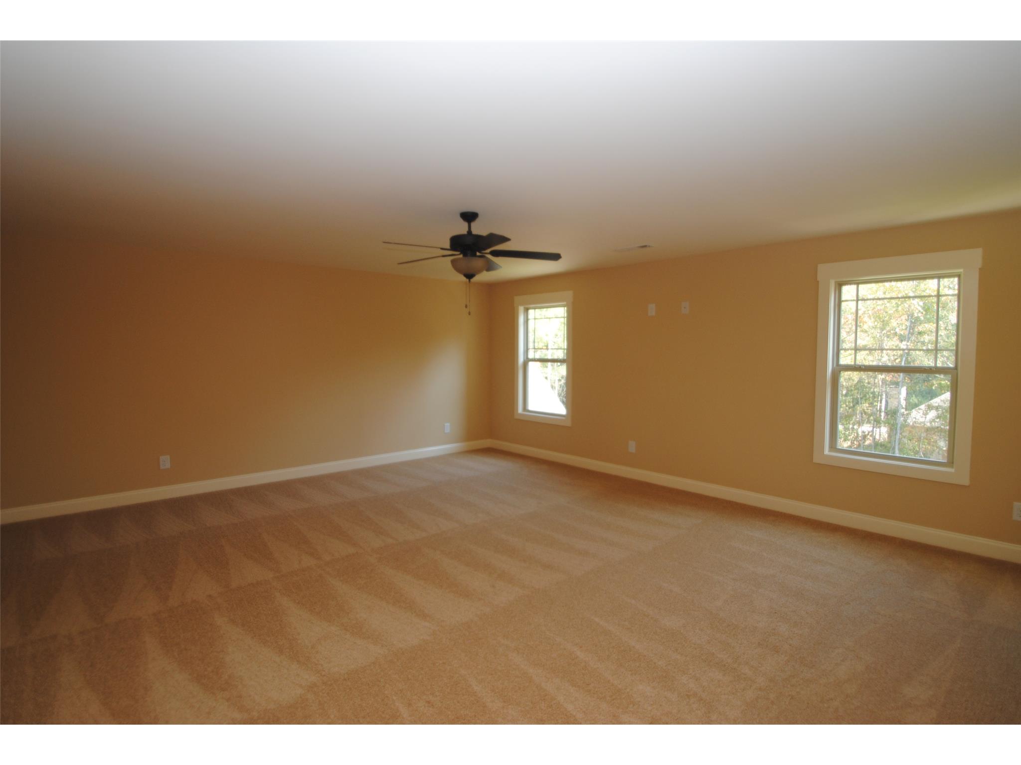 407 Wicklow St, Tyrone, GA 30290 photo 16