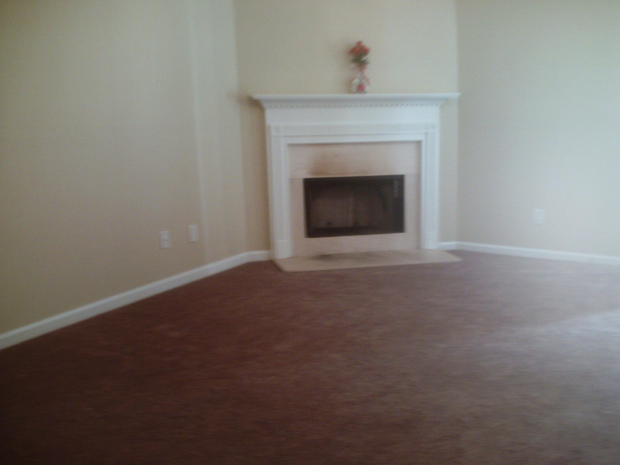 275 Mountain Ln, Covington, GA 30016 photo 3
