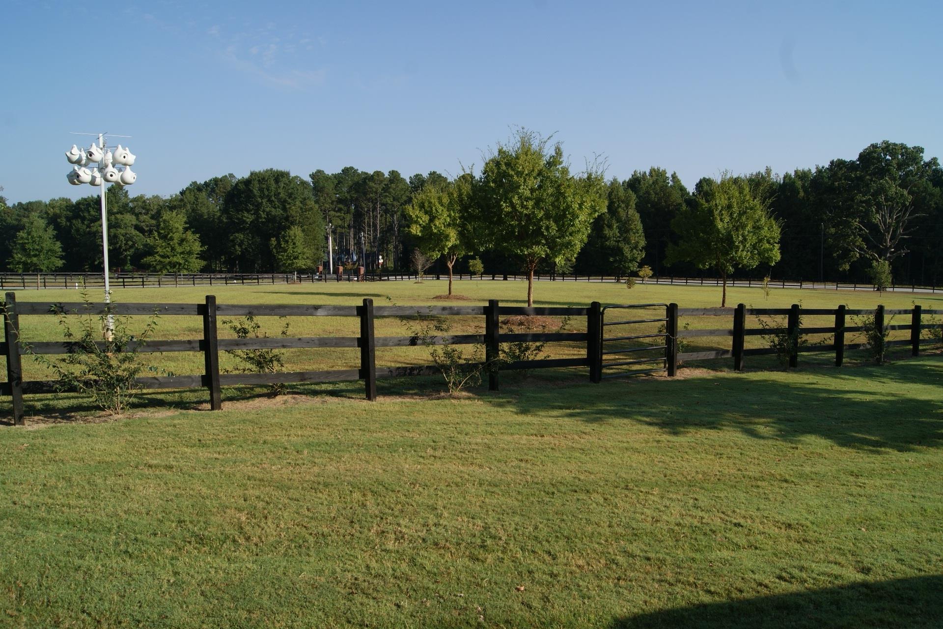 3383 Hester Town Rd, Monroe, GA 30655 photo 17