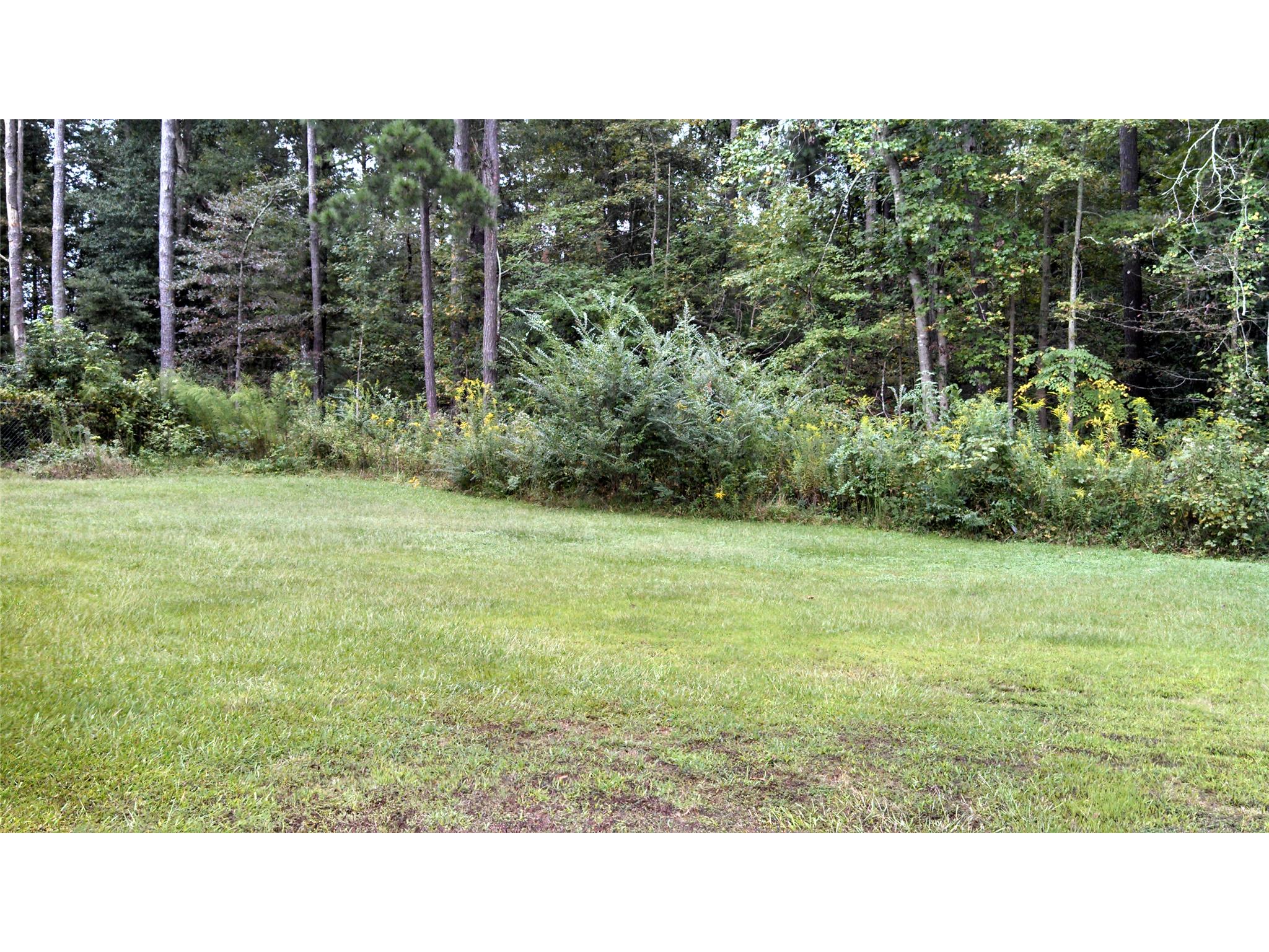 161 Caldwell Dr, Hampton, GA 30228 photo 3