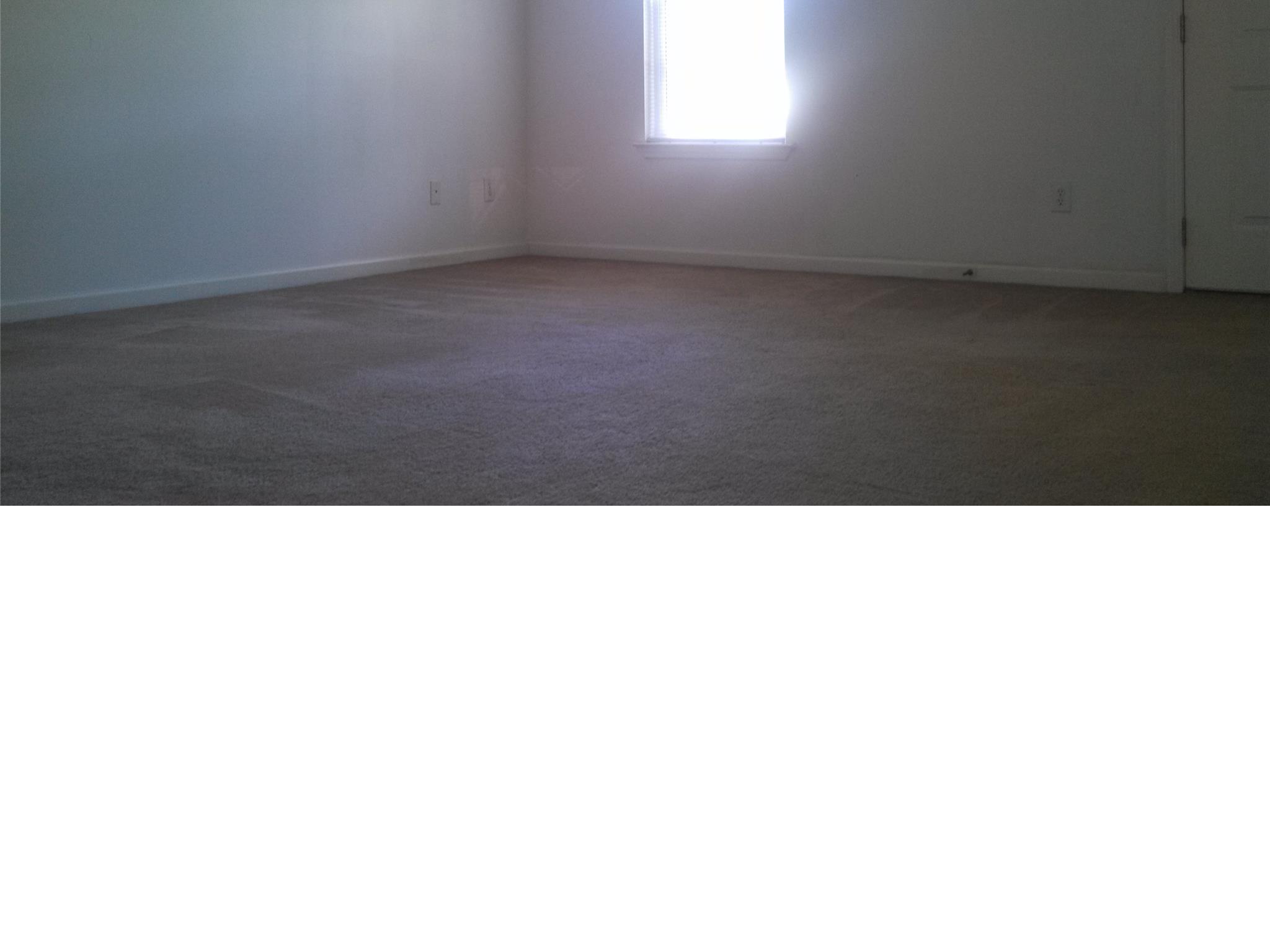161 Caldwell Dr, Hampton, GA 30228 photo 8