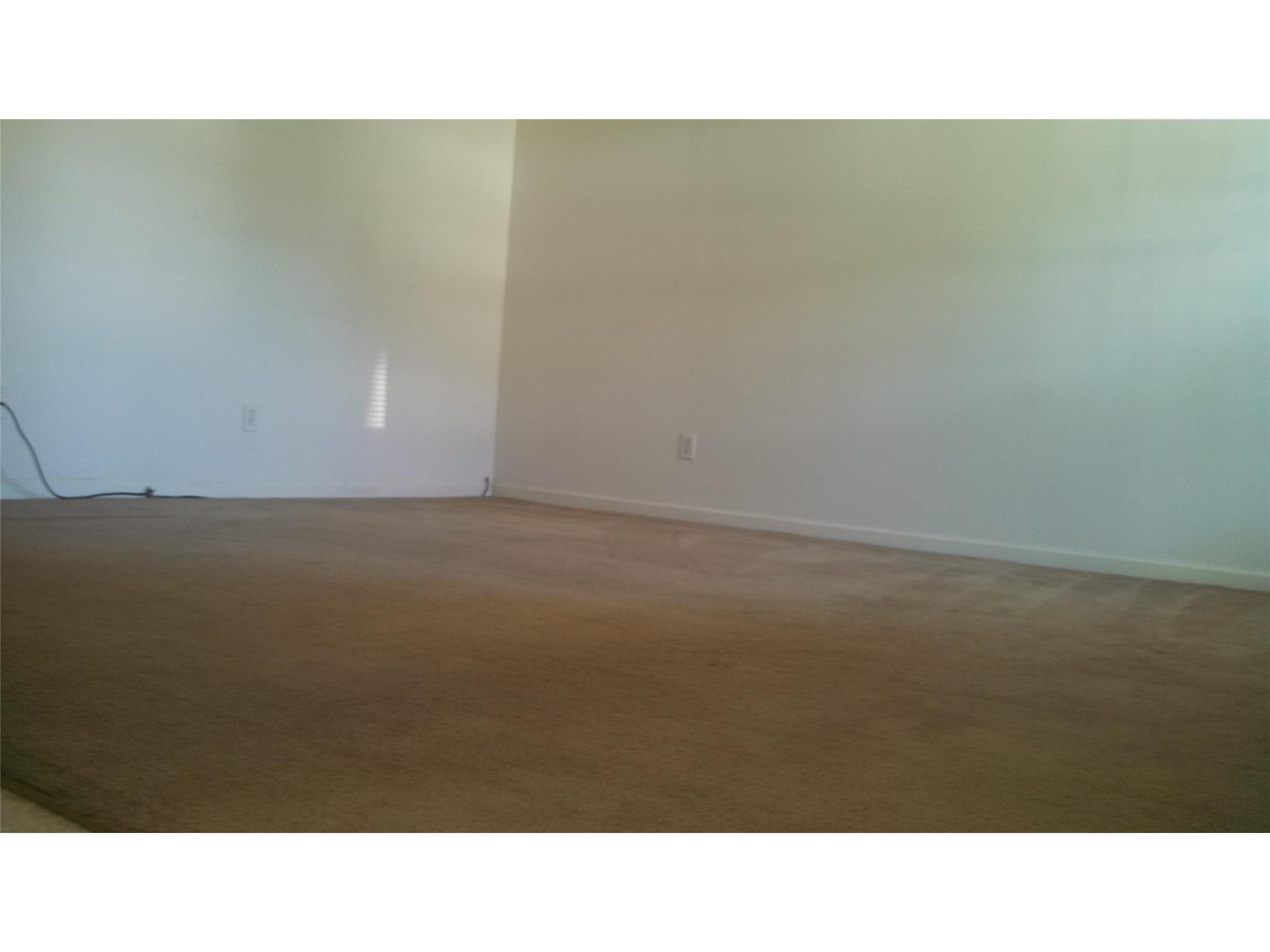 161 Caldwell Dr, Hampton, GA 30228 photo 9